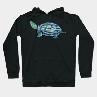 Turtle Hoodie